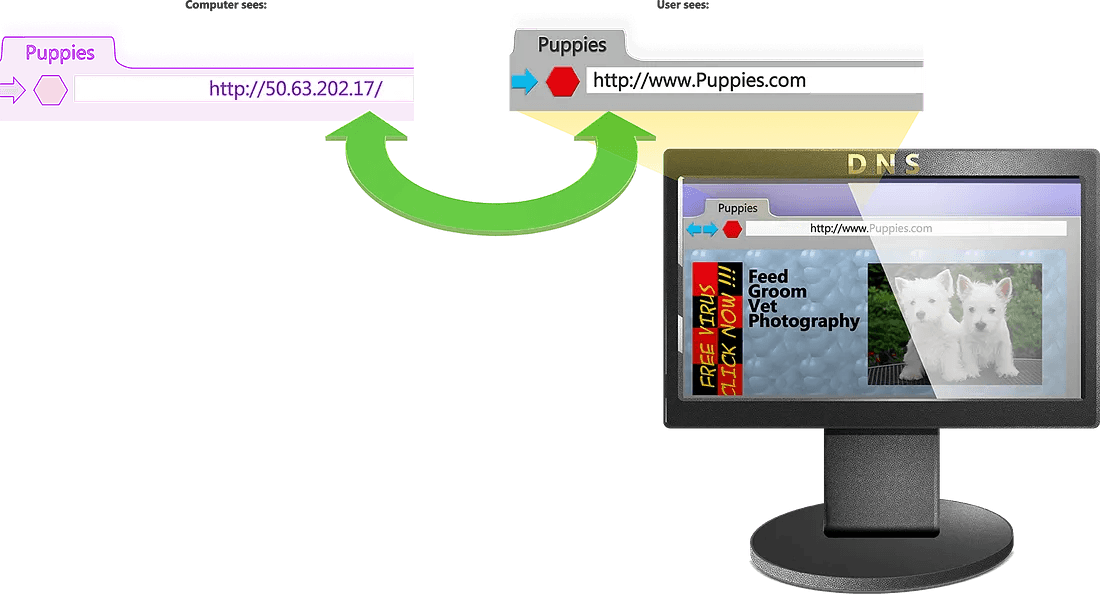DNS server, name, and IP address relationship illustration
